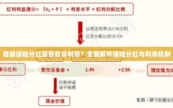 尊越保险分红详解，是否包含利息？全面解析保险分红与利息之间的关系。