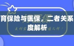 生育保险与医保的关系深度探讨与解析