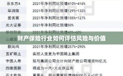 财产保险行业风险评估与价值评估方法解析
