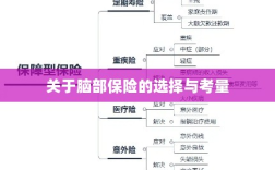 脑部保险的选择与考量指南