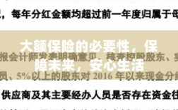 大额保险的必要性，守护未来，安心生活保障