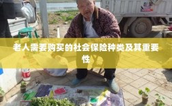 老人需购买的社会保险种类及其重要性概览