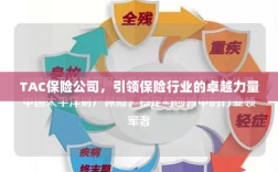 TAC保险公司，引领保险行业的翘楚力量