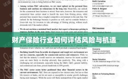 财产保险行业风险与机遇的评估策略
