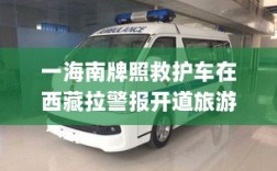 三亚官方通报，海南牌照救护车在西藏开警报旅游并违规停车拍照