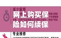 网上保险续保攻略，便捷操作及注意事项