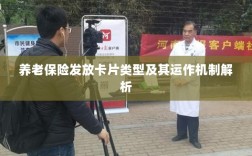 养老保险发放卡片类型与运作机制深度解析