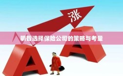 明智选择保险公司的策略与考量指南