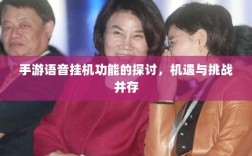手游语音挂机功能的探讨，机遇与挑战并存