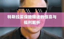特斯拉保险赠品福利大解析，惊喜与优惠一网打尽！
