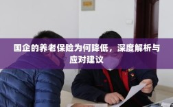 深度解析国企养老保险降低原因及应对建议