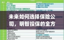 未来如何选择保险公司，全方位指南助你明智投保！