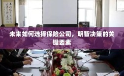 未来如何选择保险公司，明智决策的关键要素概览