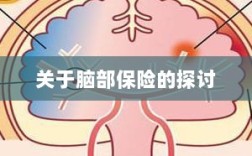 脑部保险，深度探讨与解析