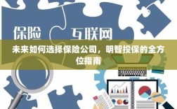 未来如何选择保险公司，全方位指南助你明智投保！