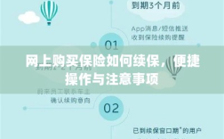 网上保险续保攻略，便捷操作及注意事项