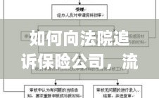 保险公司追诉流程与策略详解，如何向法院维权？