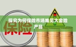 大金险产品在保险市场的稀缺原因探究