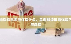 全面解读，车辆保险内容与选择，保障你的行车安全之路