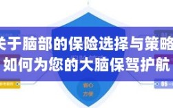 如何为大脑保驾护航，选择最佳脑部保险策略与方案