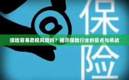 保险行业盲点揭秘，易被忽视的风险与挑战探究