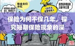 探究短期保险现象的深层原因，为何保险只保一时？