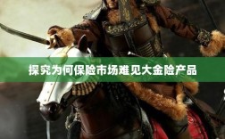 大金险产品在保险市场的稀缺原因探究