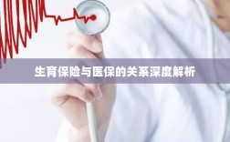 生育保险与医保关系的深度探讨