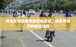 纯电车保险费用降低途径探索，更经济的保险选择攻略