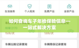 一站式查询，车辆年检与保险信息指南
