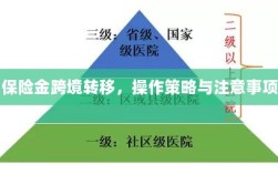 保险金跨境转移，操作策略及注意事项指南