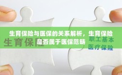 生育保险与医保关系解析，生育保险是否纳入医保范畴探讨