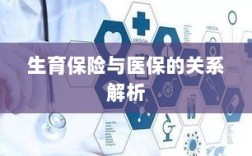 生育保险与医保关系深度解析