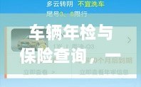 一站式解决车辆管理难题，车辆年检与保险查询服务