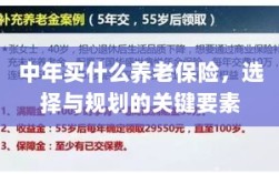 中年养老保险选择与规划的关键要素解析