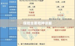 保险主要险种详解概览