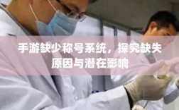 手游缺少称号系统，探究缺失原因与潜在影响