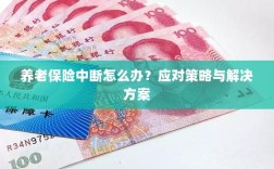 养老保险中断应对指南，解决方案与策略全解析