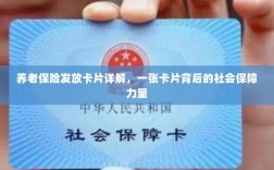 养老保险发放卡片全面解析，社会保障力量的见证