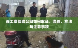 保险公司如何取证误工费，流程、方法与注意事项详解