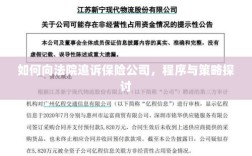 如何向法院追诉保险公司，程序与策略详解