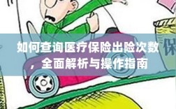 医疗保险出险次数查询指南，全面解析与操作指南