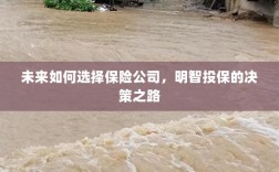 未来如何选择保险公司，明智投保指南与决策之路