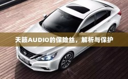 天籁AUDIO保险丝解析与保护指南