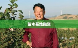 苗木基地融资策略深度解析