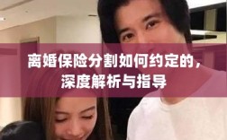 离婚保险分割深度解析与指导，约定要点及操作流程