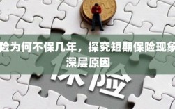 探究短期保险现象的深层原因，为何保险只保一时？