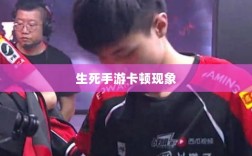 深度解析生死手游卡顿现象原因