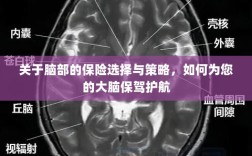 如何为大脑保驾护航，选择最佳脑部保险策略与方案