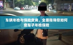 车辆年检与保险查询全面指南，如何轻松查车子年检保险信息